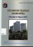 Kecamatan Cilandak Dalam Angka 2004