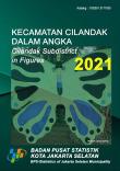 Cilandak Subdistrict in Figures 2021