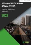 Cilandak Subdistrict in Figures 2022