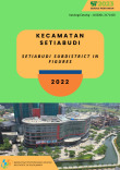 Kecamatan Setia Budi Dalam Angka 2022